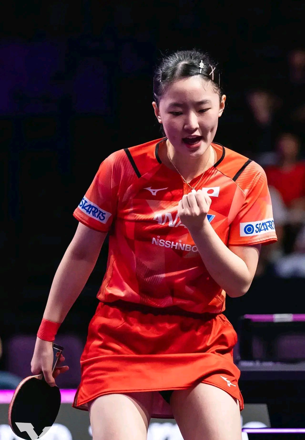 象的机会 象的机会