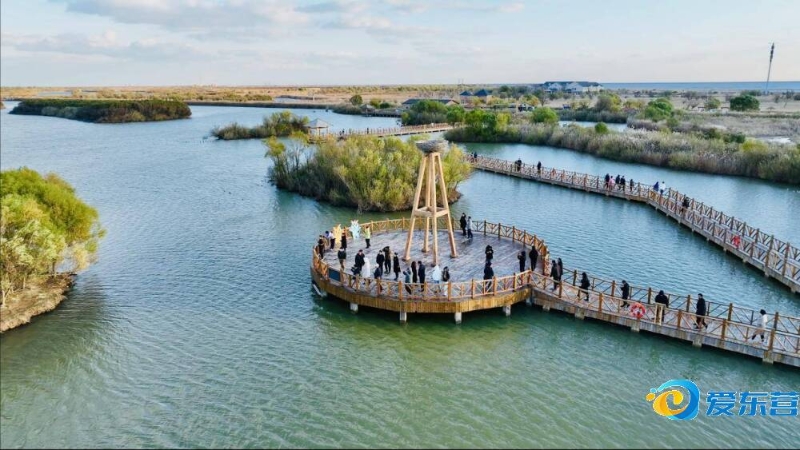 际舞台上的 际舞台上的